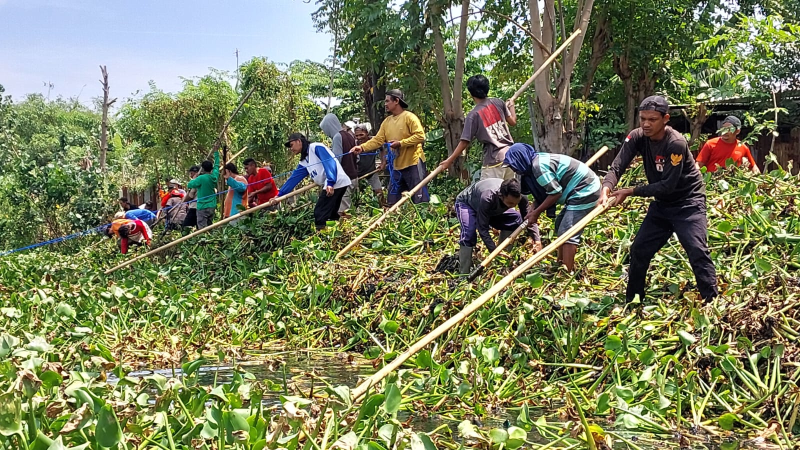 Padat Karya