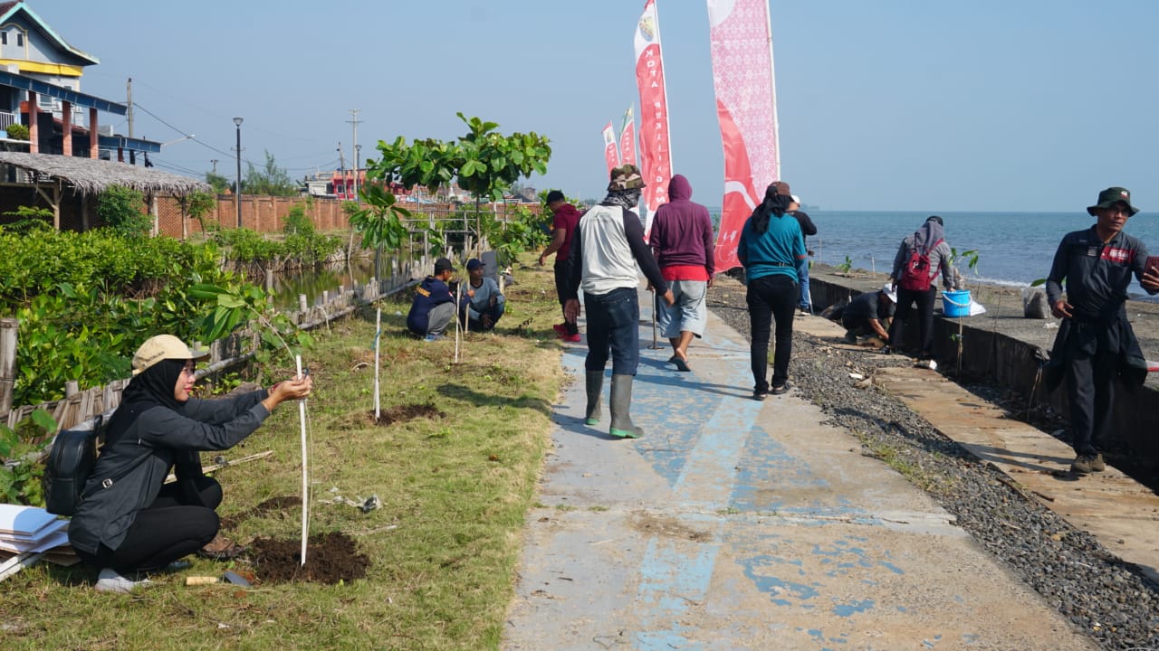 Tanam Mangrove Tanam Mangrove