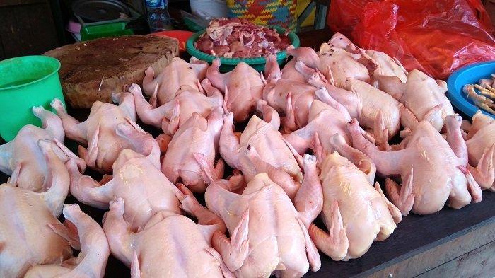 Daging Ayam