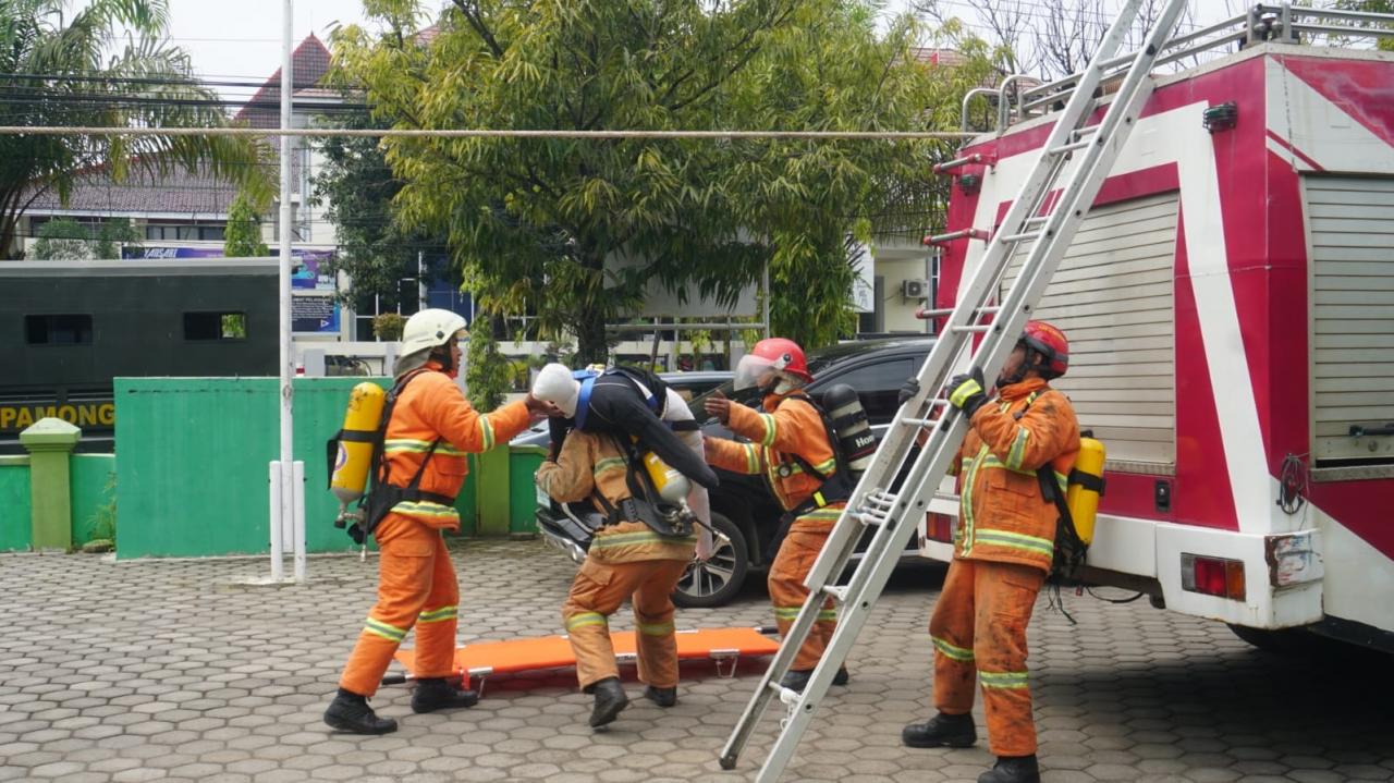 Pelatihan