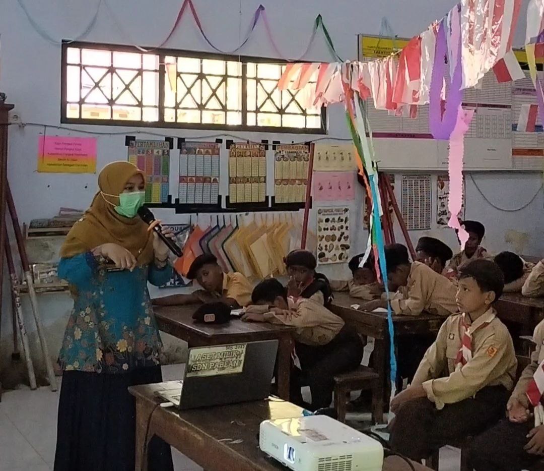 SDN Pabean