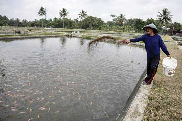 Tambak Ikan