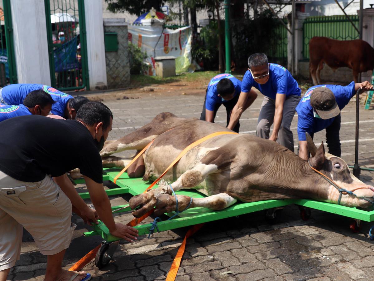 Juleha Kota Pekalongan Ikuti Pelatihan Juleha Kota Pekalongan Ikuti Pelatihan