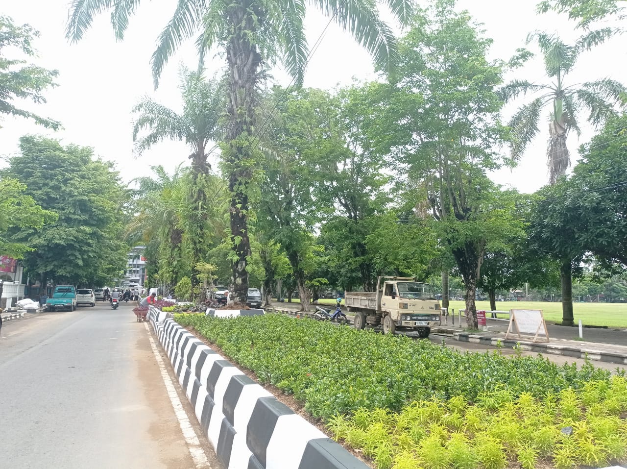 Taman