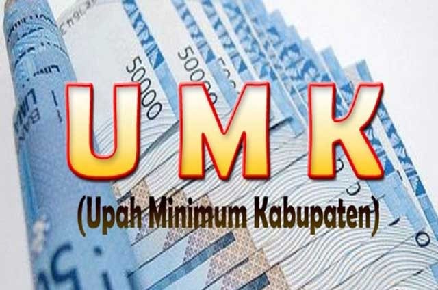 SPN: Satu Perusahaan Belum Bayar UMK sesuai Ketetapan SPN: Satu Perusahaan Belum Bayar UMK sesuai Ketetapan