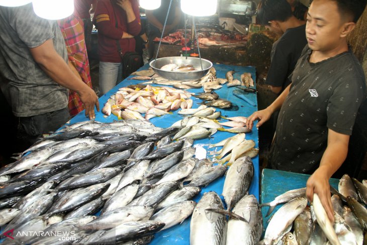Cuaca Ekstrim Pengaruhi Harga Jual Ikan