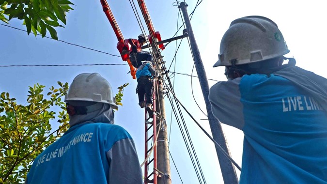 PLN