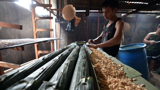 Produksi Tempe