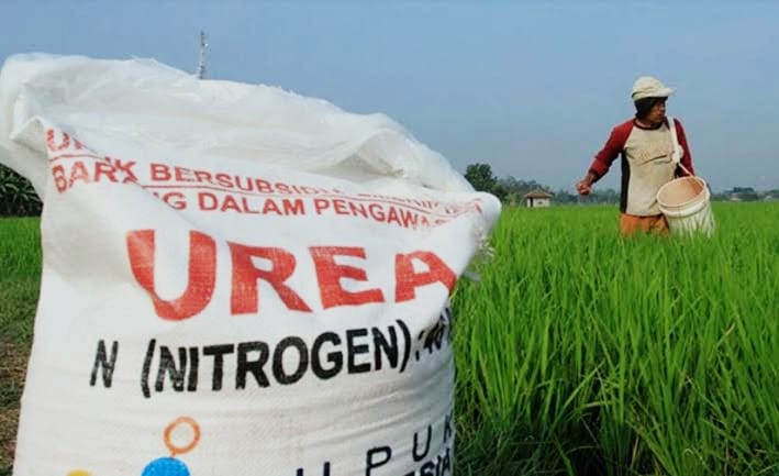 Pupuk Bersubsidi