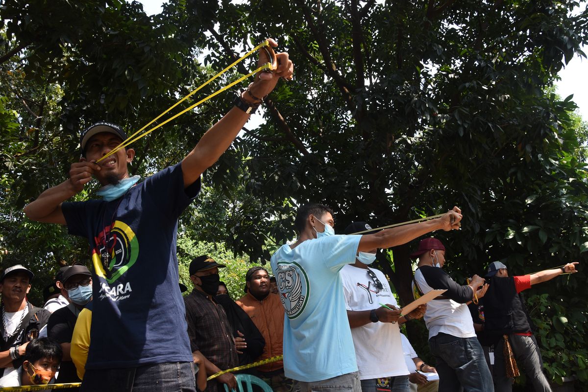 Lomba Ketapel Lomba Ketapel