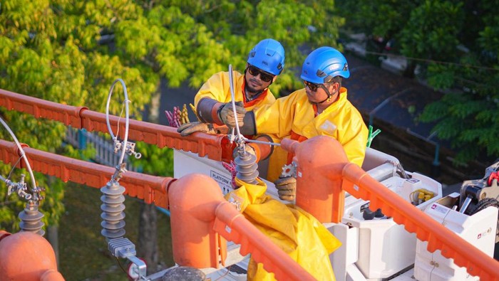 PLN