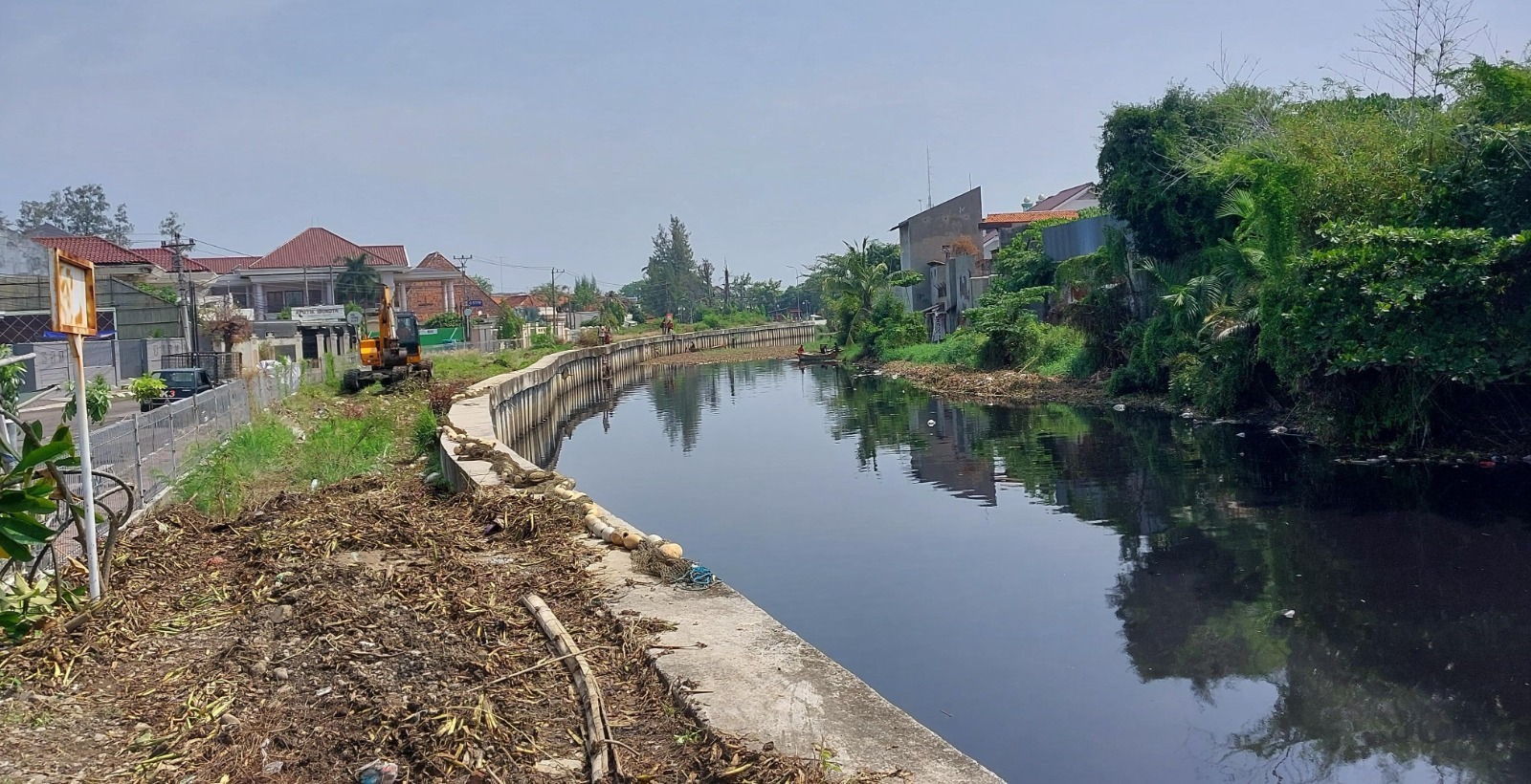 Eceng Gondok