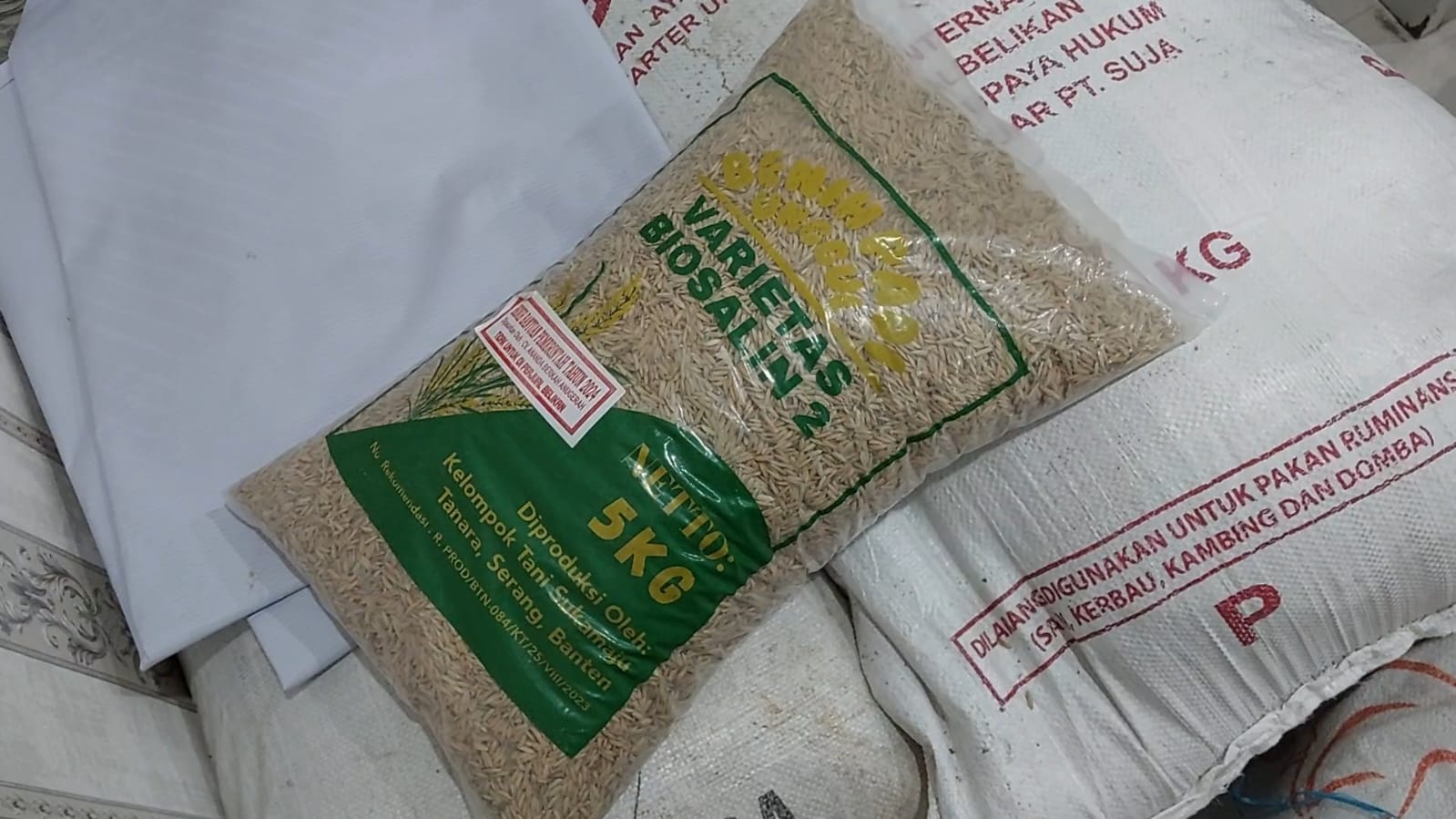 Benih Padi Biosalin