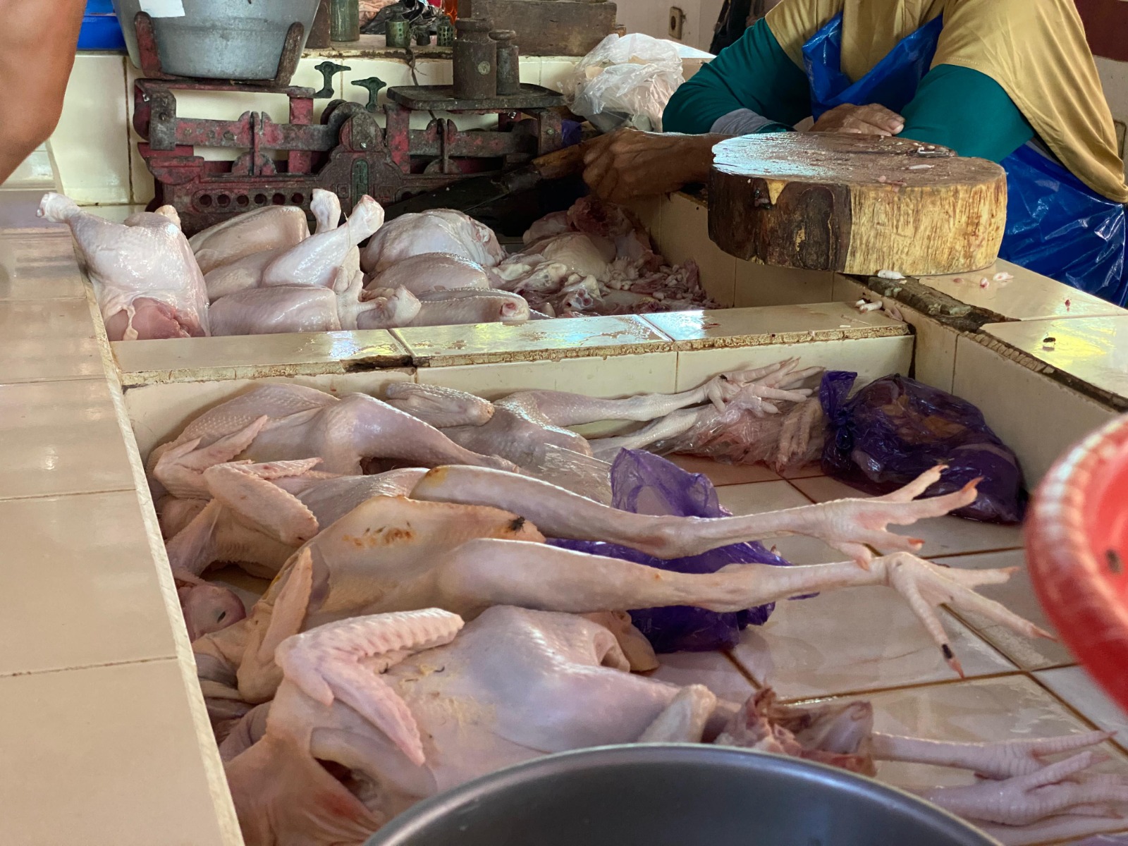 Ayam Potong Ayam Potong