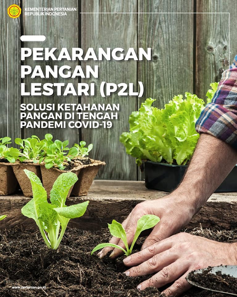 P2L