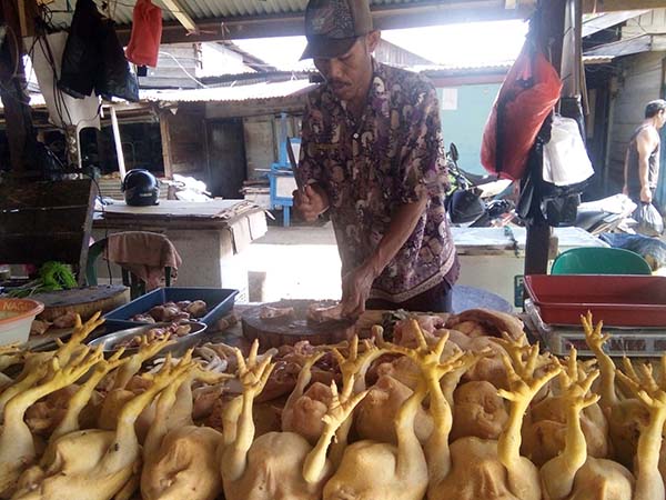 Ayam