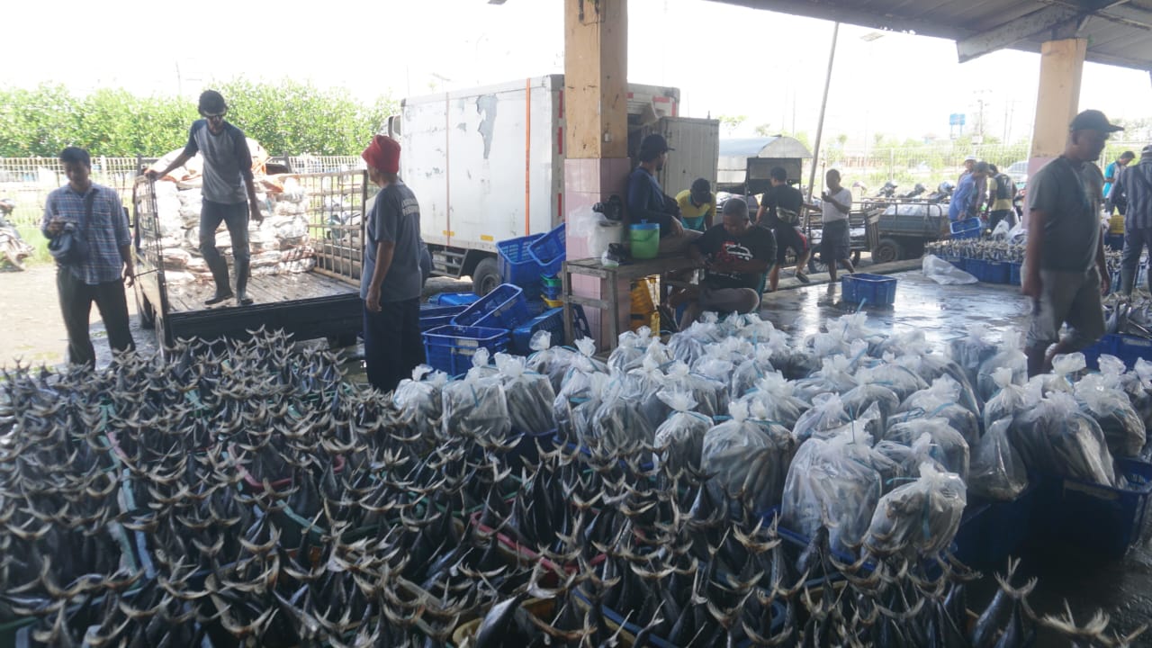 Harga Ikan