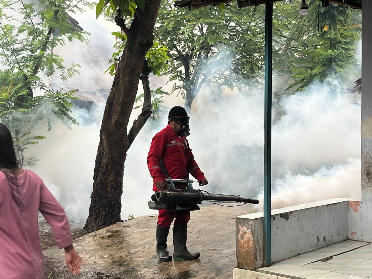 DBD Masih Mengintai, Dinkes Kota Pekalongan Waspadai Seluruh Kelurahan