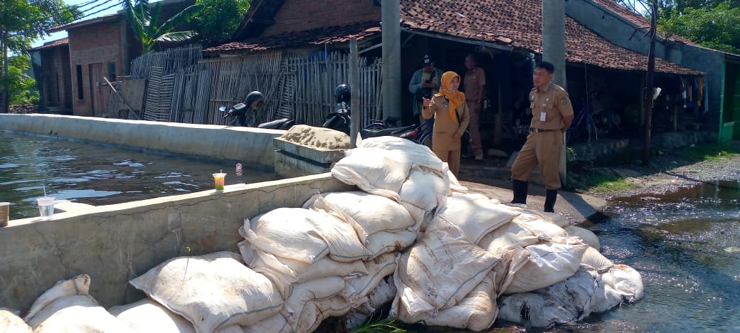 DPUPR Tinjau Jebolnya Tanggul Kali Bremi 