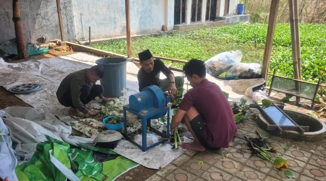 Eceng Gondok