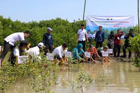 Genangan Rob Tunda Musim Tanam Petani Pringrejo