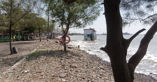 Gotong Royong Selamatkan Pesisir Batang dari Ancaman Rob Gotong Royong Selamatkan Pesisir Batang dari Ancaman Rob