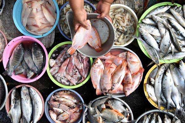 Harga Ikan di Kota Batik Cukup Tinggi
