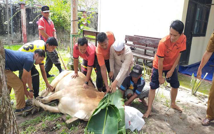 Juleha Pekalongan Buka Kesempatan Sertifikasi Juru Sembelih Halal