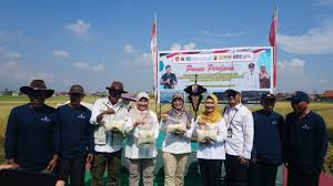 Lahan Biosalin di Pekalongan Mulai Pulih, Petani Antusias Kembali Bertanam Lahan Biosalin di Pekalongan Mulai Pulih, Petani Antusias Kembali Bertanam
