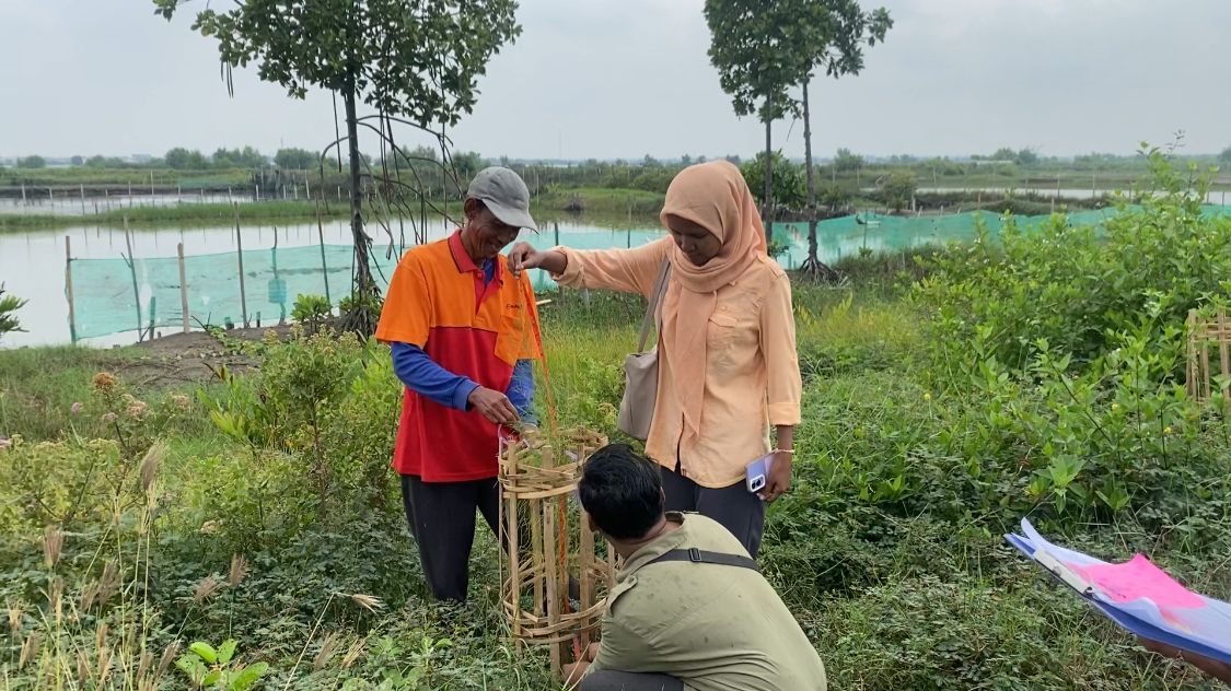 HIJAU