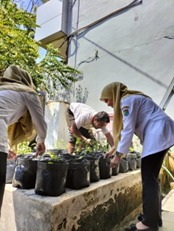 Masyarakat dan OPD di Pekalongan Antusias Sambut Imbauan Pemanfaatan Pekarangan Masyarakat dan OPD di Pekalongan Antusias Sambut Imbauan Pemanfaatan Pekarangan