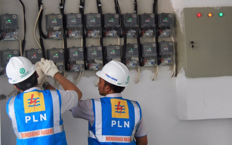 PLN