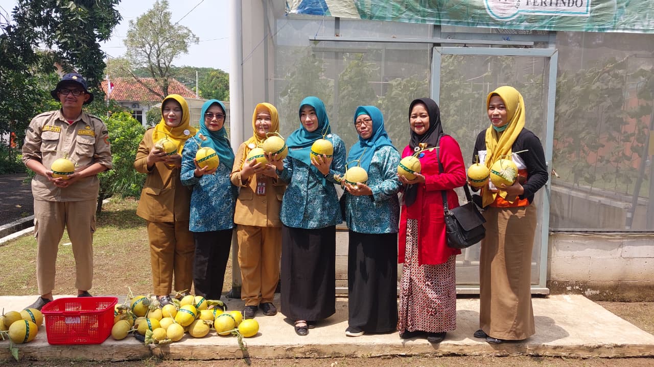 Panen Melon Warnai Program Ketahanan Pangan TP-PKK