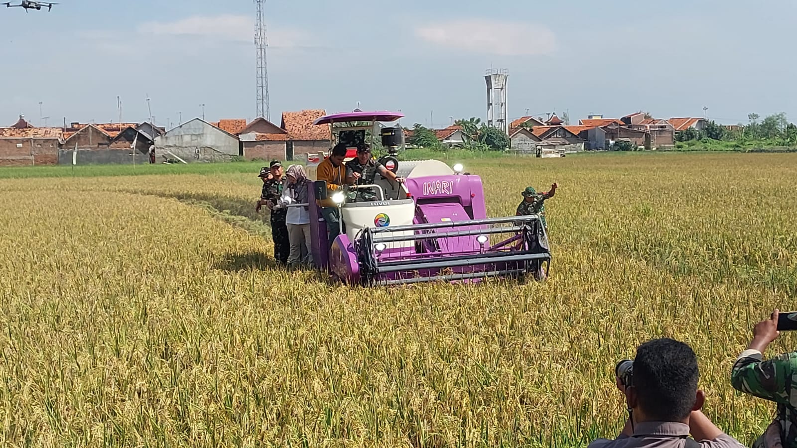 Panen Perdana Padi Biosalin di Lahan Bekas Rob di Degayu