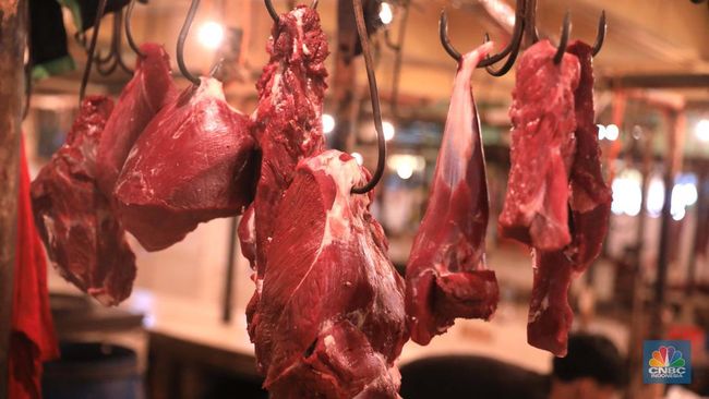 Paska Syawalan Harga daging Sapi di Pekalongan Kembali Normal Paska Syawalan Harga daging Sapi di Pekalongan Kembali Normal