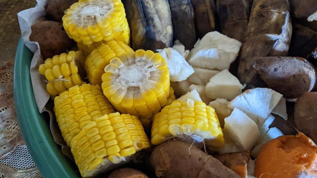 Pemkot Pekalongan Kenalkan Ragam Pangan Lokal Penganti Nasi Pemkot Pekalongan Kenalkan Ragam Pangan Lokal Penganti Nasi
