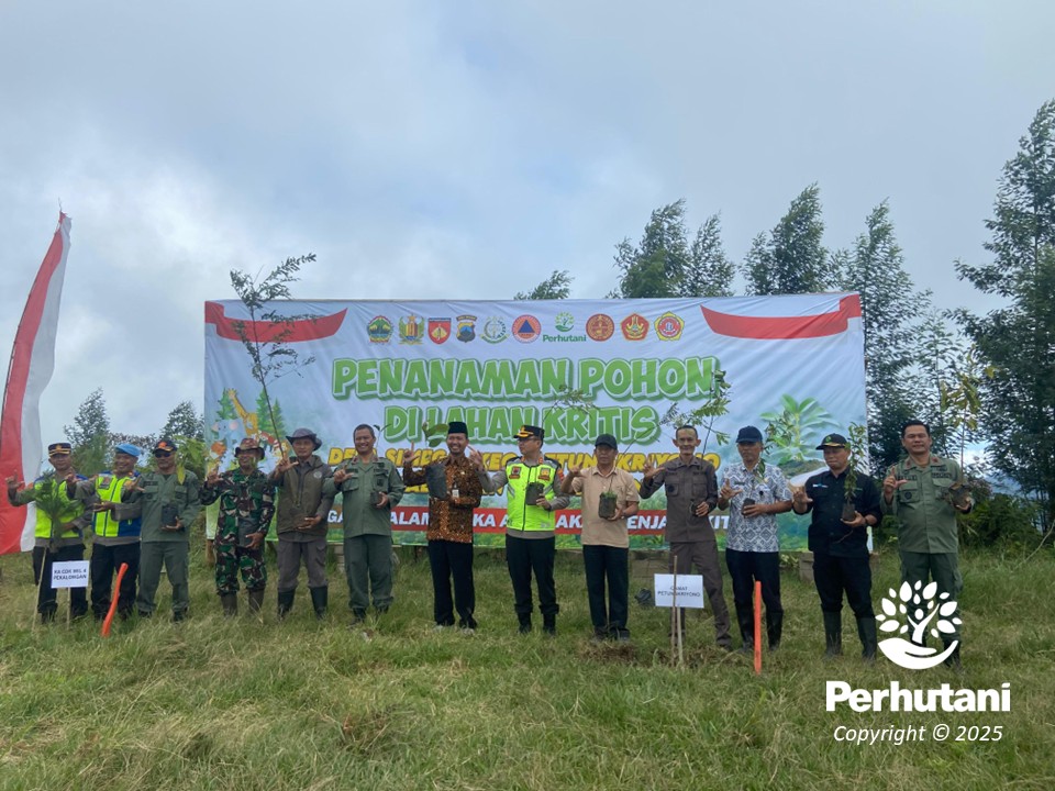 Perhutani Pekalongan Timur Tanam Ratusan Ribu Pohon Perhutani Pekalongan Timur Tanam Ratusan Ribu Pohon