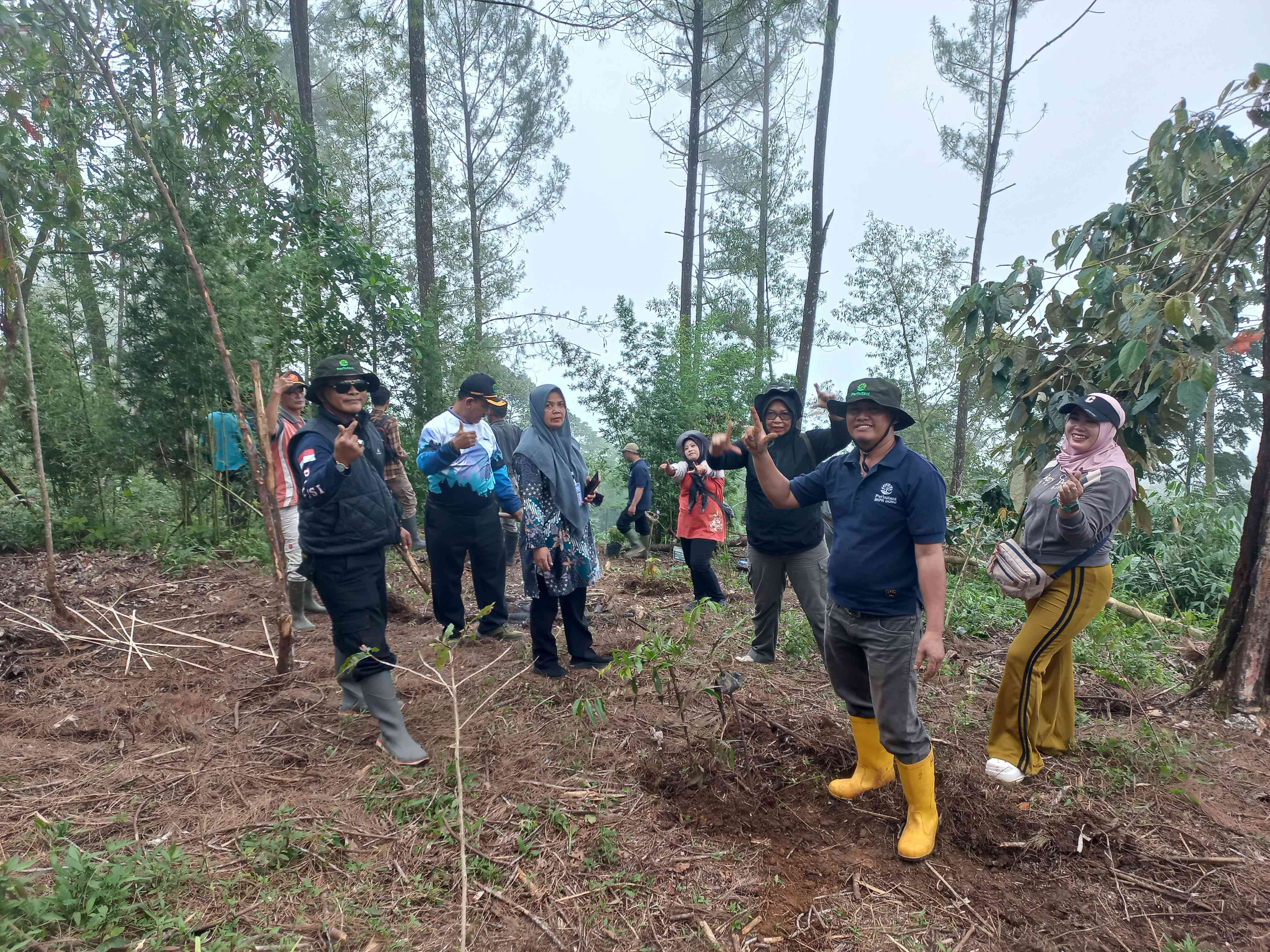 Perhutani dan PT Tower Bersama Tanam Pohon di Petungkriyono Pasca Puting Beliung
