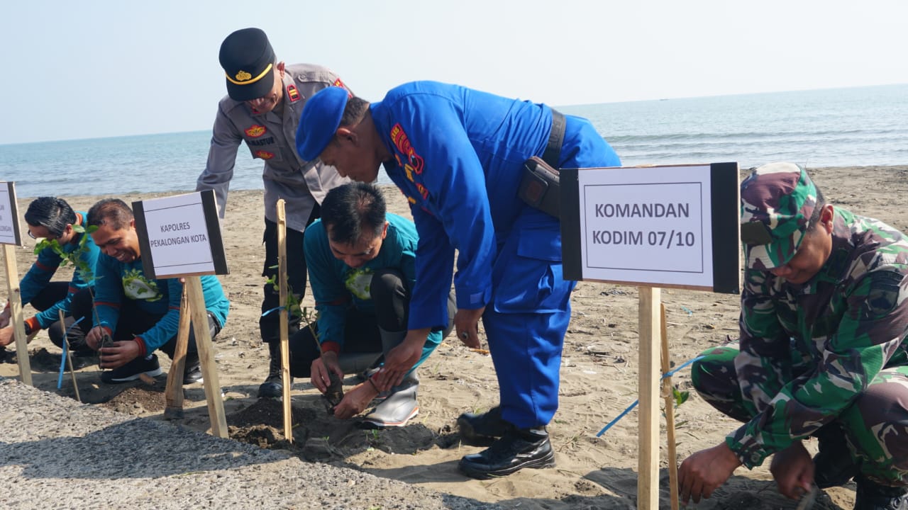 Pesisir Tangguh, Pekalongan Tanam Mangrove di Hari Lingkungan Hidup Pesisir Tangguh, Pekalongan Tanam Mangrove di Hari Lingkungan Hidup
