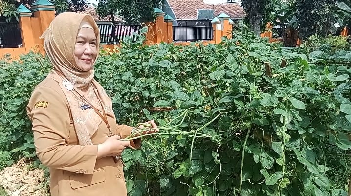 Produksi Gabah Kota Pekalongan Capai 6 Ribu Ton