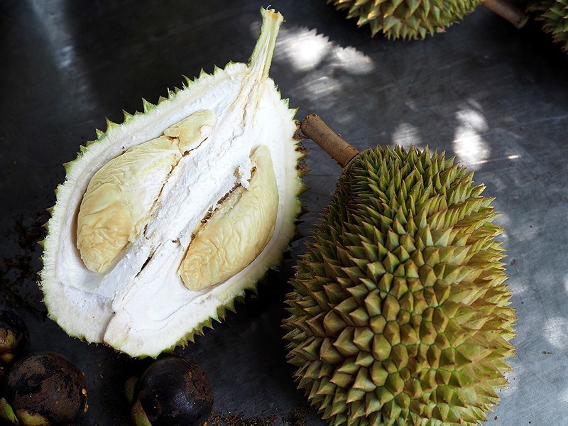 Produksi Merosot Drastis, Desa Lolong Batal Gelar Festival Durian Produksi Merosot Drastis, Desa Lolong Batal Gelar Festival Durian