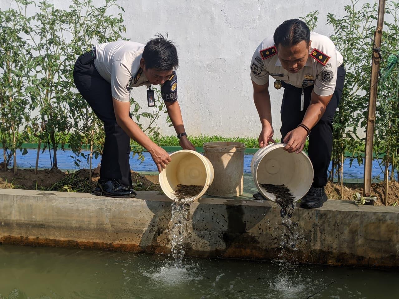 Rutan Pekalongan Kembangkan Budidaya Lele untuk Ketahanan Pangan Rutan Pekalongan Kembangkan Budidaya Lele untuk Ketahanan Pangan