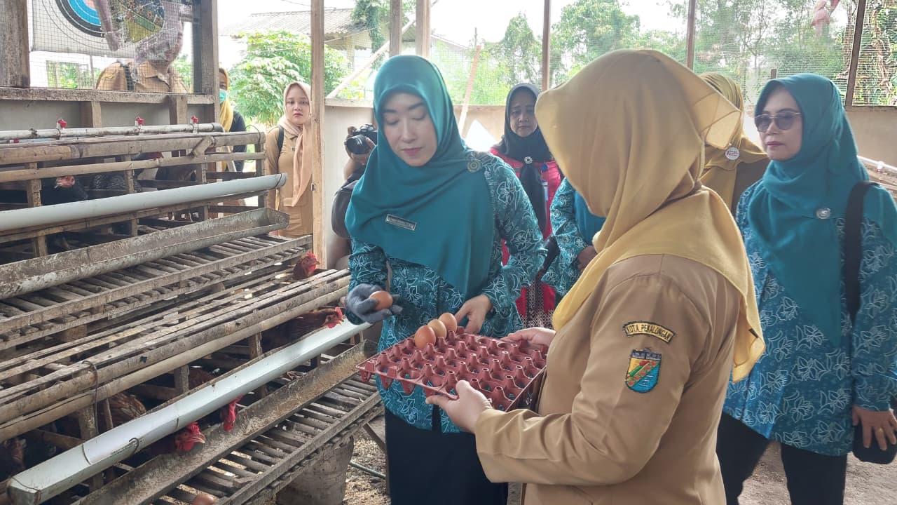 Sinergi TP-PKK dan Dinperpa Dorong Pemanfaatan Lahan Produktif Sinergi TP-PKK dan Dinperpa Dorong Pemanfaatan Lahan Produktif