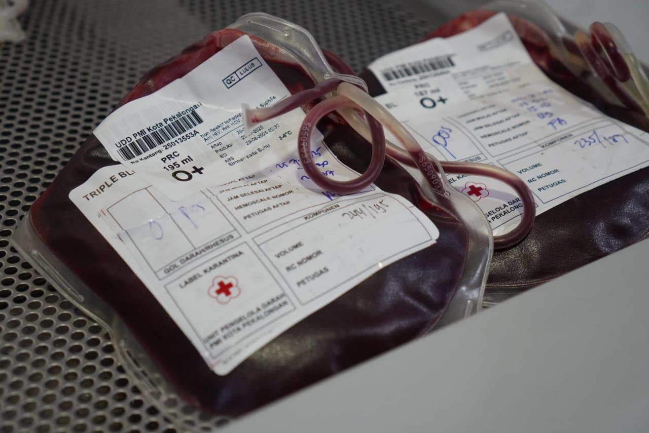 Stok Darah PMI Pekalongan Aman, Golongan O dan B Dominasi Ketersediaan Stok Darah PMI Pekalongan Aman, Golongan O dan B Dominasi Ketersediaan